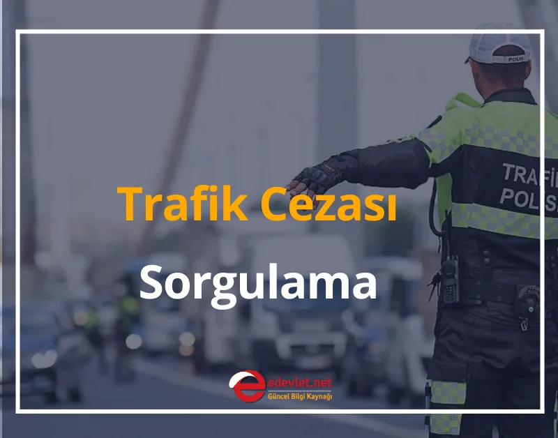 Trafik Cezası Sorgulama ve Ödeme Nasıl Yapılır? 2024