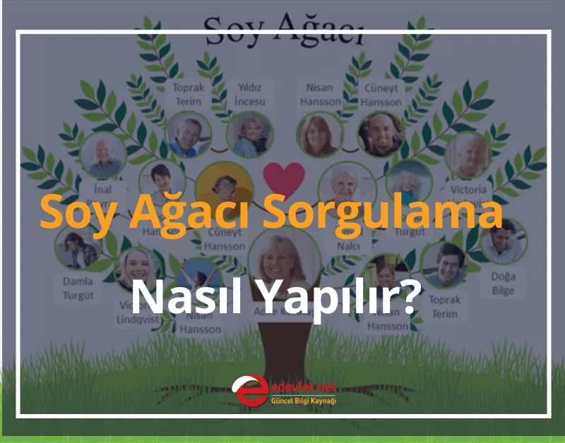 Soy Ağacı Sorgulama Nasıl Yapılır? 2024 e-Devlet Sorgulama