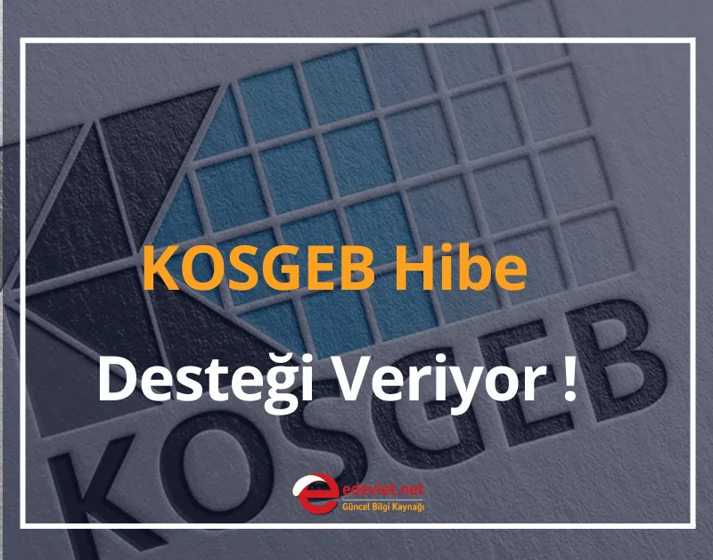 KOSGEB Bu İşleri Yapanlara Hibe Veriyor! 2024 KOSGEB Hibe Desteği