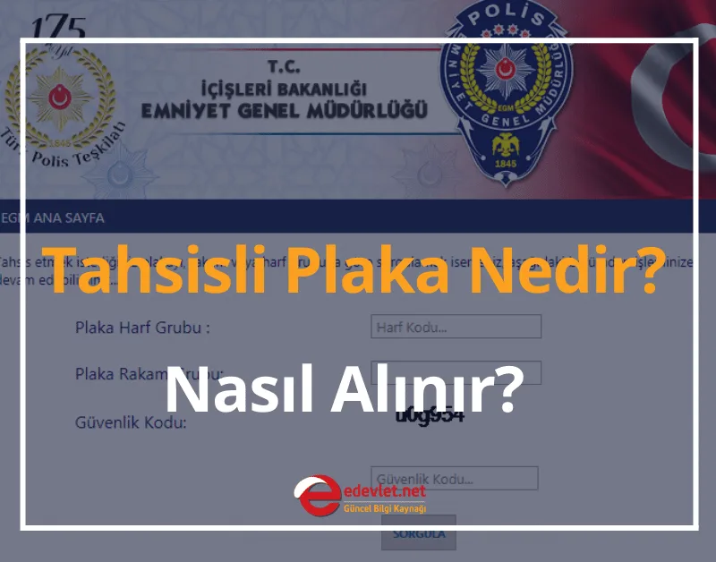 Tahsisli Plaka Nedir, Nasıl Alınır?