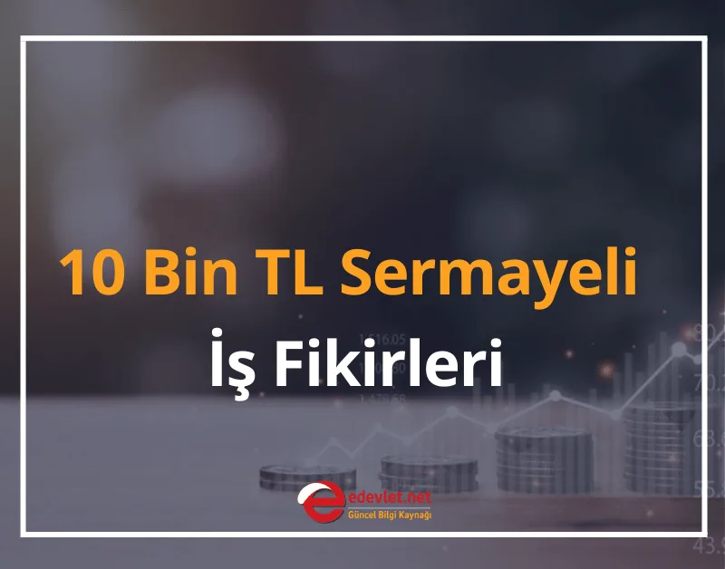 10 Bin TL Sermayeli İş Fikirleri 2025