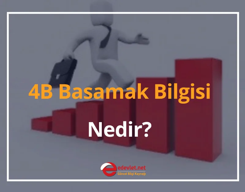 4B Basamak Bilgisi Nedir? 2024 BAĞKUR Basamaklarına Göre Emekli Maaşları