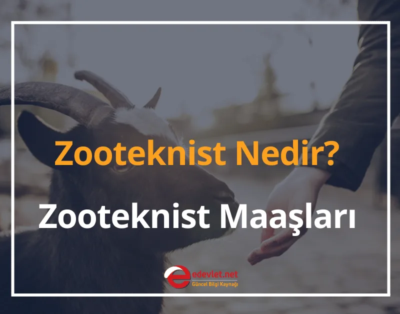 Zooteknist Nedir? 2024 Zooteknist Maaşları Ne Kadar?