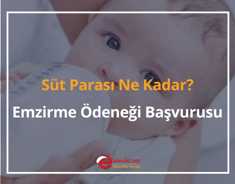 Emzirme Ödeneği Başvurusu 2024 Süt Parası Ne Kadar?