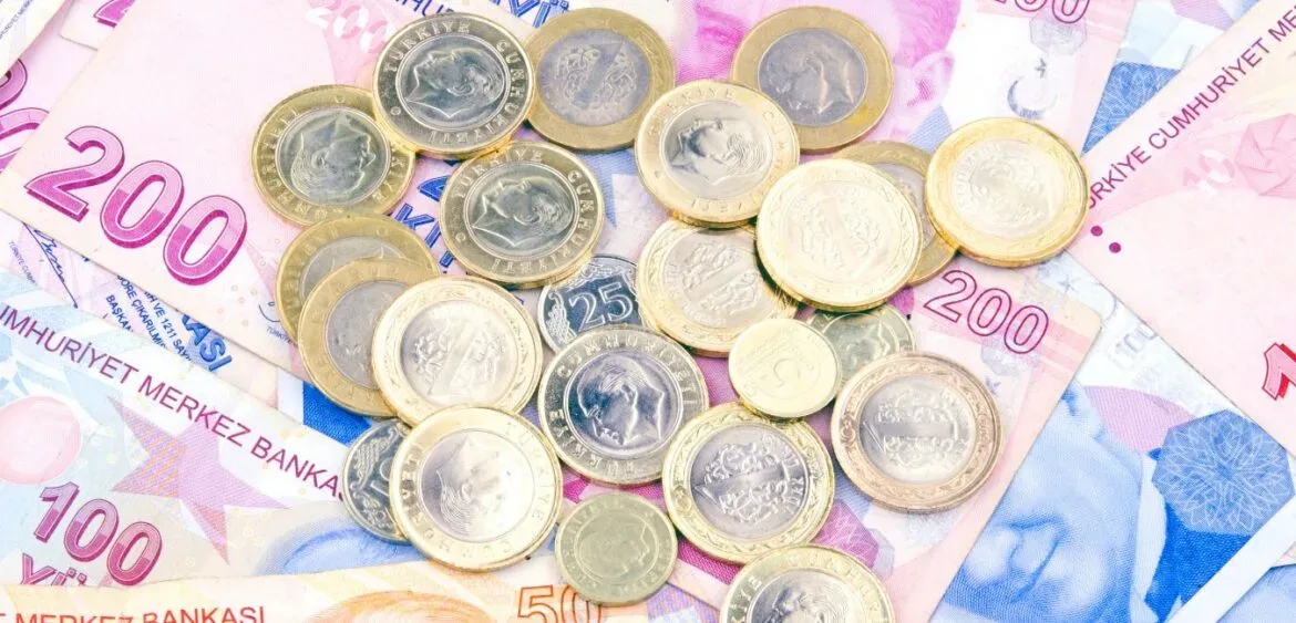 5 Bin TL Sermayeli İş Fikirleri 