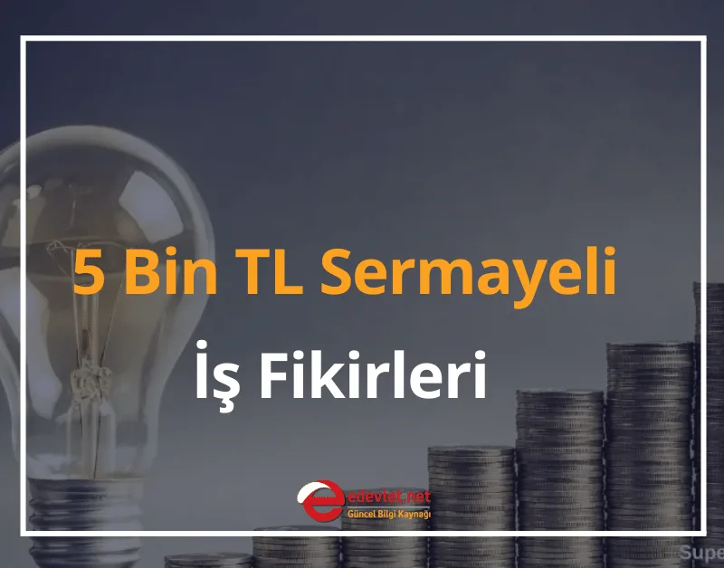 5 Bin TL Sermayeli İş Fikirleri 2024 Az Parayla Yapılabilecek İşler