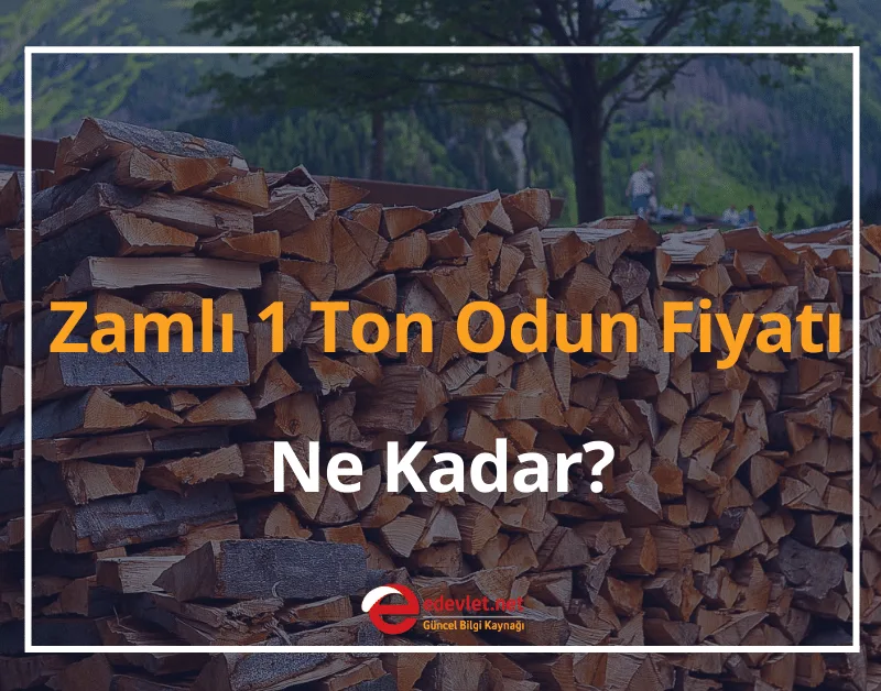 2024 Odun Fiyatları - Zamlı 1 Ton Sobalık Odun Fiyatı Ne Kadar?
