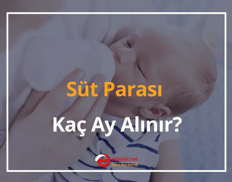 Süt Parası Başvuru e-Devlet 2024 Süt Parası Kaç Ay Alınır?