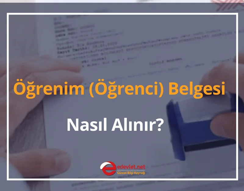 Öğrenim (Öğrenci) Belgesi Nasıl Alınır? 2024 e-Devlet Öğrenci Belgesi Alma