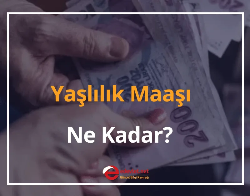 Yaşlılık Maaşı Ne Kadar? 2024 Yaşlılık Maaşı Şartları (65 Yaş Aylığı Şartları)