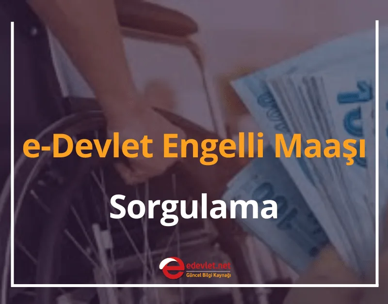 e-Devlet Engelli Maaşı Sorgulama 2024 Engelli Maaşı Ne Zaman Yatacak?