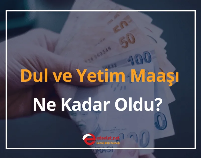 Dul ve Yetim Maaşı Ne Kadar Oldu? 2024 e-Devlet Dul ve Yetim Aylığı Sorgulama