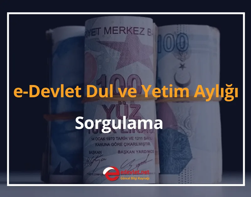 e-Devlet Dul ve Yetim Aylığı Sorgulama 2024