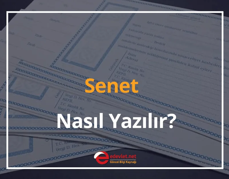 Senet Nasıl Doldurulur? Senet Nasıl Yazılır? 2024 Boş Senet Örneği