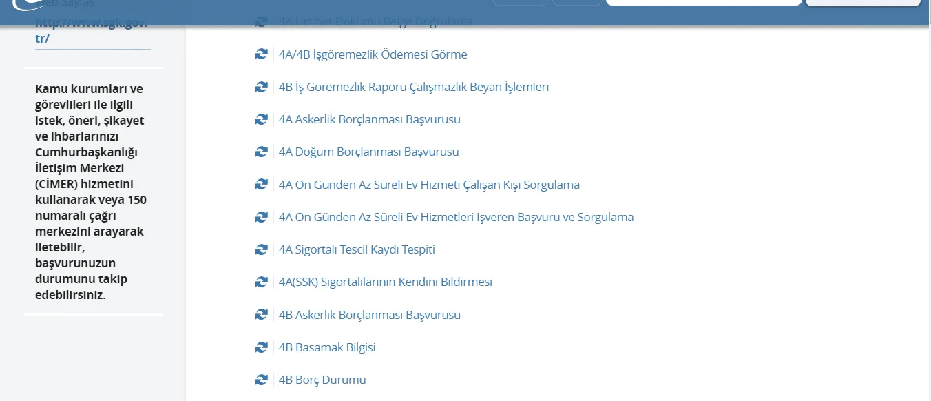 doğum borçlanması 