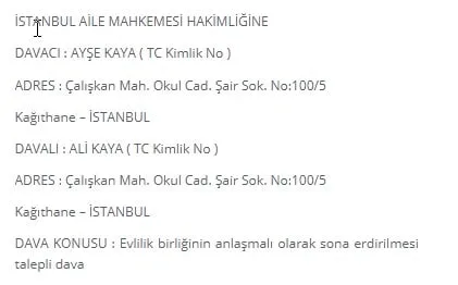 boşanma dilekçe örneği